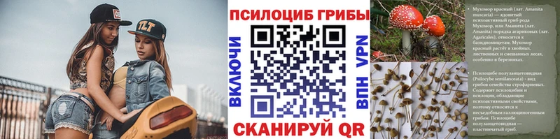 дарнет шоп  darknet состав  Псилоцибиновые грибы ЛСД  Аркадак 
